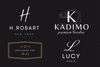 Image of Initial Top Discounted Pack by best logo designing company Shopify experts, Google analytics, and Google tag manage, Etsy products import export- ZAK-DIGI Limited