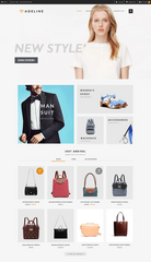Shopify store development with shopify seo expert