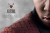 Image of Custom Luxury Fashion Logo design use for Business Branding Shopify experts, Google analytics, and Google tag manage, Etsy products import export- ZAK-DIGI Limited