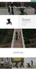 Image of Shopify store development with shopify seo expert Shopify experts, Google analytics, and Google tag manage, Etsy products import export- ZAK-DIGI Limited